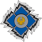 Academy of Electrical Contracting logo