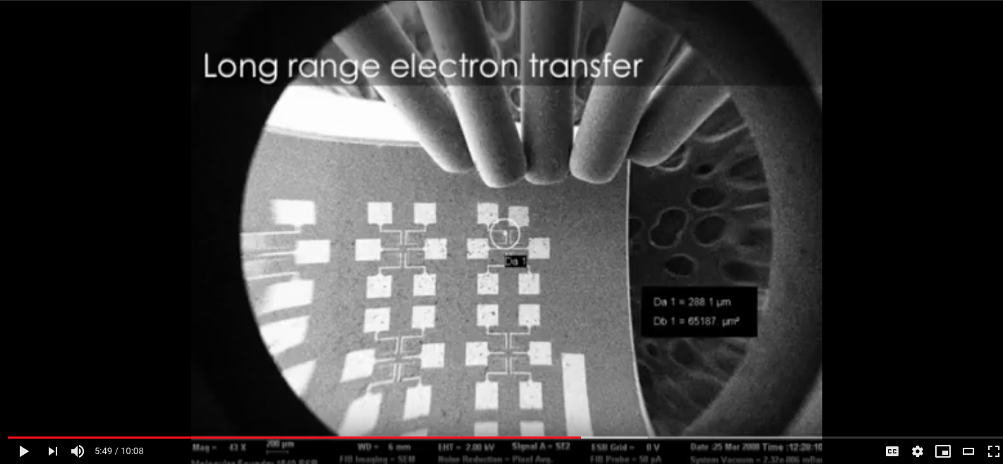 living wire video screenshot