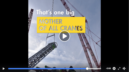 Mother of Cranes Mother of Cranes