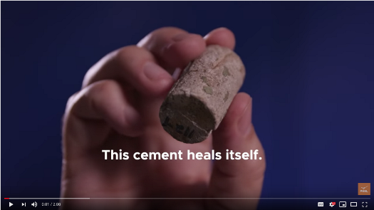 self-healing concrete