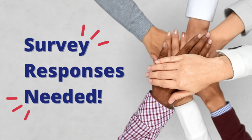 DEI&B Questionnaire