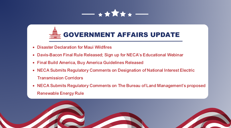 NECA Government Affairs Updates