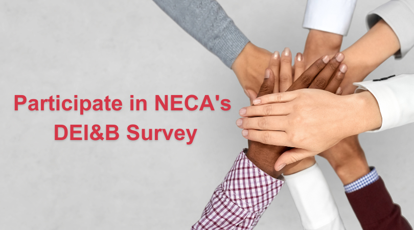 Participate Now: Diversity, Equity, Inclusion & Belonging Survey