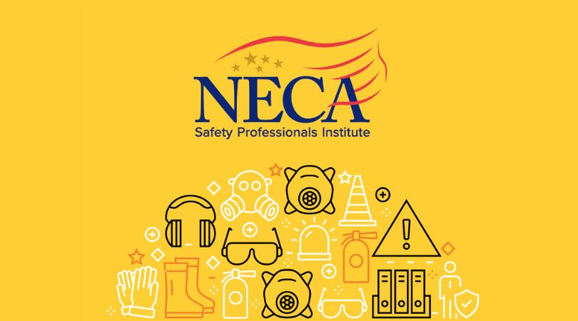 Safety Professionals Institute