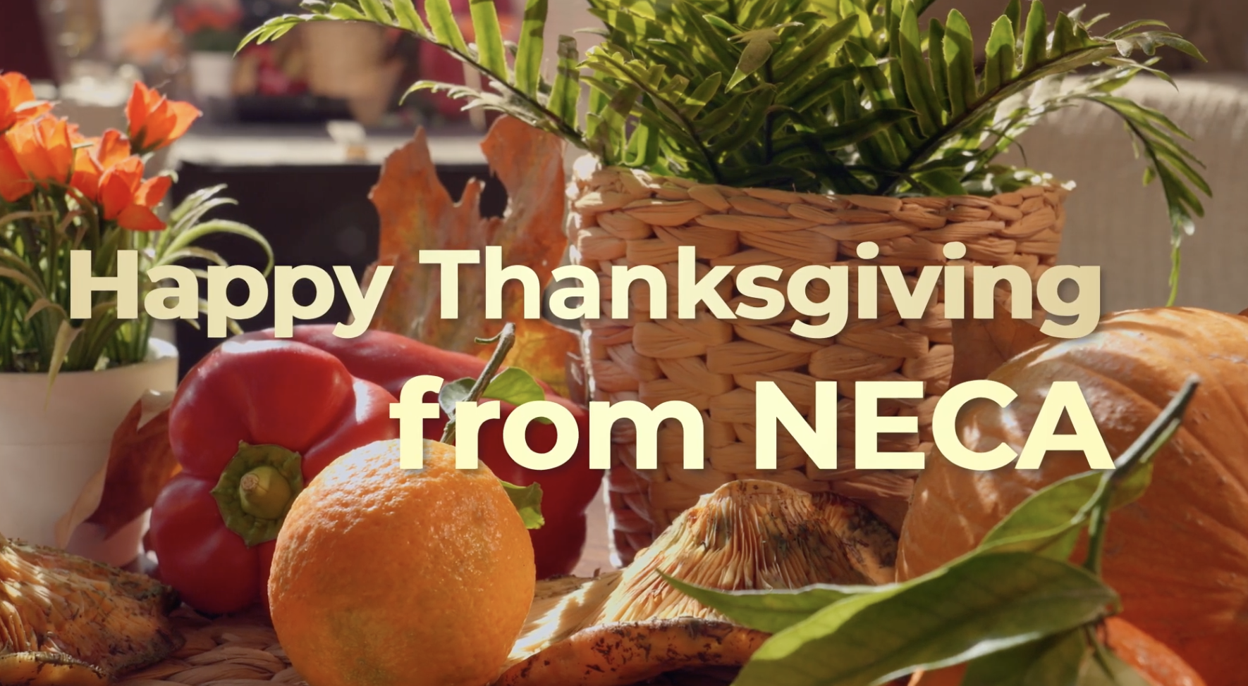 Happy Thanksgiving from NECA