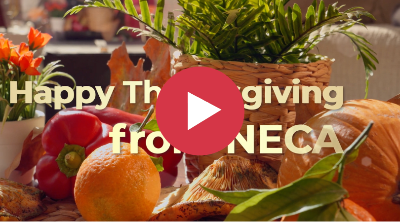 Happy Thanksgiving from NECA Video Thumbnail