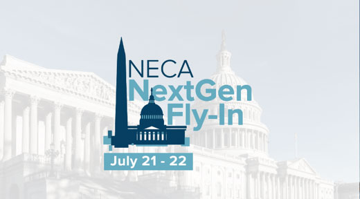 NECA NextGen Fly-In Logo